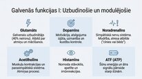 Prezentācija 'Neiromediatori', 6.