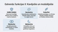 Prezentācija 'Neiromediatori', 7.