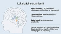 Prezentācija 'Neiromediatori', 8.