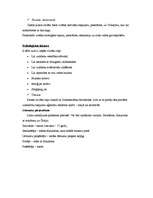 Konspekts 'Pircēju rīcība patēriņa tirgū', 2.