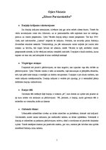 Eseja 'Ojāra Vācieša dzejoļu krājuma "Zibens pareizrakstība" raksturojums', 1.