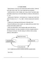 Diplomdarbs 'Vīriešu un sieviešu agresijas līmeņa atšķirības agrīnā briedumā ', 38.