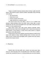 Referāts 'Sporta traumas un to profilakse, pielietojot dažādus tehniskos palīglīdzekļus', 5.