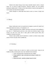 Referāts 'Sporta traumas un to profilakse, pielietojot dažādus tehniskos palīglīdzekļus', 7.