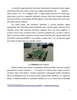 Paraugs 'Meža kokaudzētava', 7.