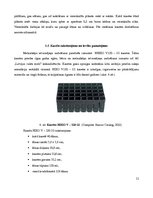 Paraugs 'Meža kokaudzētava', 11.