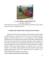 Paraugs 'Meža kokaudzētava', 14.