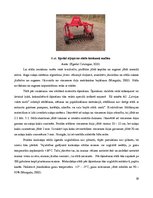 Paraugs 'Meža kokaudzētava', 16.