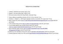 Paraugs 'Meža kokaudzētava', 41.