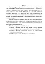 Referāts 'Elektroautomobīļu ietekme uz vidi', 3.