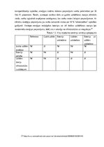 Referāts 'Elektroautomobīļu ietekme uz vidi', 10.