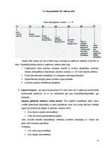 Konspekts 'Starptautiskās uzņēmējdarbības ekonomika un konkurētspējas analīze', 16.