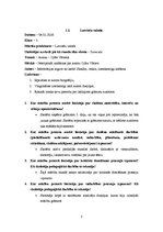 Prakses atskaite 'Aktīvā mācību prakses sākumskolā', 4.