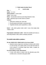 Prakses atskaite 'Aktīvā mācību prakses sākumskolā', 19.