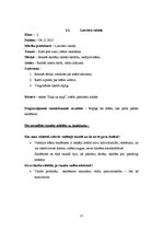 Prakses atskaite 'Aktīvā mācību prakses sākumskolā', 20.