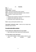 Prakses atskaite 'Aktīvā mācību prakses sākumskolā', 21.