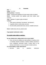 Prakses atskaite 'Aktīvā mācību prakses sākumskolā', 22.