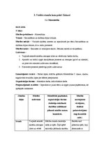 Prakses atskaite 'Aktīvā mācību prakses sākumskolā', 27.