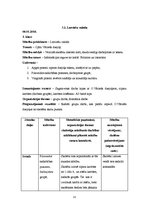 Prakses atskaite 'Aktīvā mācību prakses sākumskolā', 31.