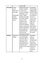 Prakses atskaite 'Aktīvā mācību prakses sākumskolā', 35.