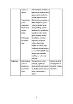 Prakses atskaite 'Aktīvā mācību prakses sākumskolā', 38.