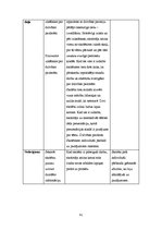Prakses atskaite 'Aktīvā mācību prakses sākumskolā', 41.