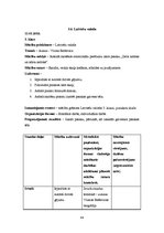 Prakses atskaite 'Aktīvā mācību prakses sākumskolā', 43.