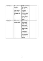 Prakses atskaite 'Aktīvā mācību prakses sākumskolā', 44.