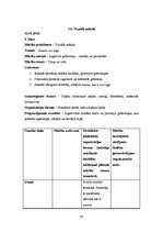 Prakses atskaite 'Aktīvā mācību prakses sākumskolā', 49.