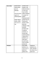 Prakses atskaite 'Aktīvā mācību prakses sākumskolā', 50.