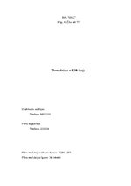 Biznesa plāns 'Termokrūze ar USB izeju', 1.