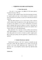 Biznesa plāns 'Termokrūze ar USB izeju', 6.