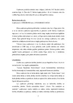 Biznesa plāns 'Termokrūze ar USB izeju', 7.