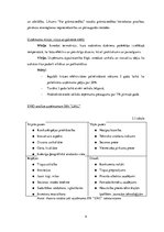 Biznesa plāns 'Termokrūze ar USB izeju', 8.