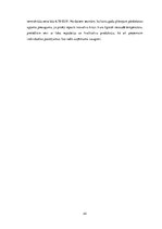 Biznesa plāns 'Termokrūze ar USB izeju', 20.