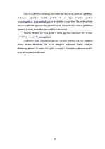 Biznesa plāns 'Termokrūze ar USB izeju', 27.