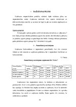 Biznesa plāns 'Termokrūze ar USB izeju', 28.