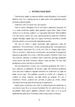 Biznesa plāns 'Termokrūze ar USB izeju', 33.