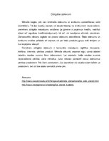 Referāts 'Patērētāju zinības', 5.