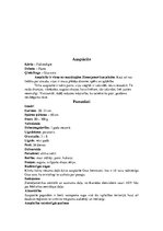 Konspekts 'Dažādas pūces', 5.