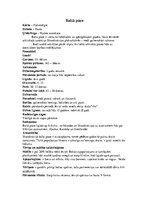 Konspekts 'Dažādas pūces', 8.