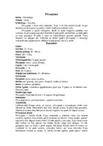 Konspekts 'Dažādas pūces', 17.