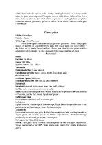 Konspekts 'Dažādas pūces', 19.