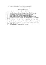 Konspekts 'Dažādas pūces', 23.