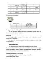 Referāts 'Datora saslēgšana ar televizoru', 6.