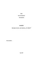 Referāts 'Dzīvojamo ēku komplekss "Trīs Brāļi"', 1.