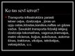 Prezentācija 'Transports', 4.