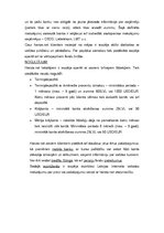 Referāts '"Hanzanet" internetbanka', 5.