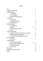 Prakses atskaite 'Prakse SIA "Aka plast"', 3.