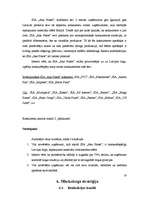 Prakses atskaite 'Prakse SIA "Aka plast"', 15.